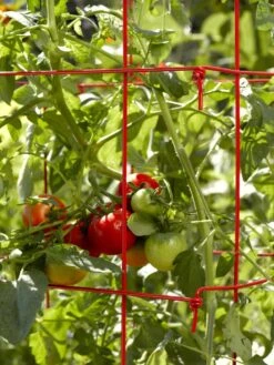 Tomato Cages, Set Of 4 11 Tomato Cages, Set Of 4 -Gardening Supplies 34182 592