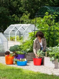 3-Season Plant Protection Tent, 3' X 6' -Gardening Supplies 35 592 0181 1