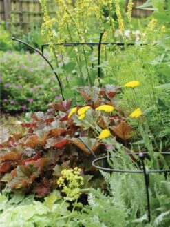 Essex Plant Supports -Gardening Supplies 37423 280 tif