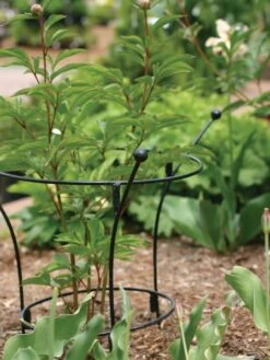 New Arrival -Gardening Supplies 37450 7614 tif