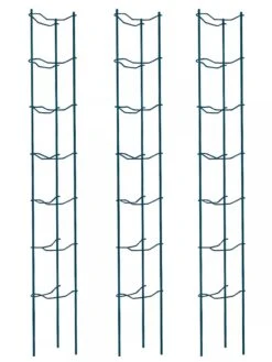 Tomato Ladders, Set Of 3 -Gardening Supplies 38184 002E psd