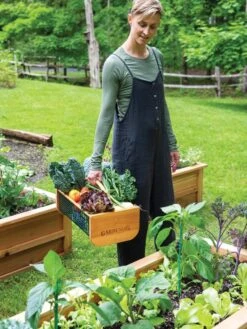 Garden Hods 11 Garden Hods -Gardening Supplies 39 761 0146 tif