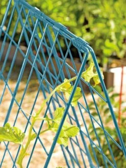 Deluxe Cucumber Trellis 14 Deluxe Cucumber Trellis -Gardening Supplies 39806 BLUE 100 tif