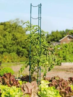Stacking Tomato Ladders, Set Of 6 9 Stacking Tomato Ladders, Set Of 6 -Gardening Supplies 40309 100 tif
