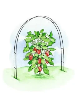 Super Hoops, Set Of 6 9 Super Hoops, Set Of 6 -Gardening Supplies 8586835 02S tif
