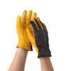 Women's Gold Leaf Dry Touch™ Gloves 1 Women's Gold Leaf Dry Touch™ Gloves -Gardening Supplies 8586891 007 tif