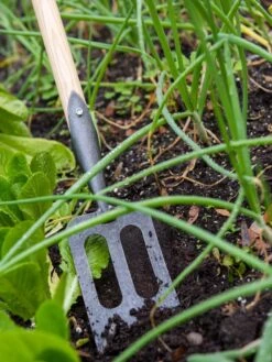 Gardener's Lifetime Spork 10 Gardener's Lifetime Spork -Gardening Supplies 8586973 2383 tif