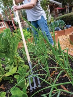 New Arrival -Gardening Supplies 8586973 2385 tif