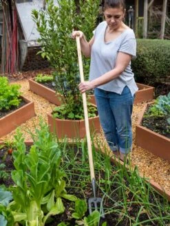 Gardener's Lifetime Spork 11 Gardener's Lifetime Spork -Gardening Supplies 8586973 2405 tif