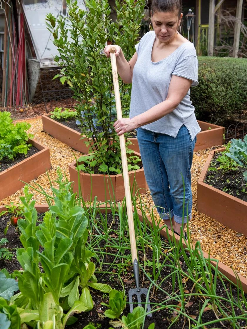 Gardener's Lifetime Spork 7 Gardener's Lifetime Spork - Image 5