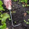 Gardener's Lifetime Cape Cod Weeder, Right-Handed 2 Gardener's Lifetime Cape Cod Weeder, Right-Handed -Gardening Supplies 8586974 2361 tif