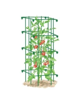 Tomato Cage, Single -Gardening Supplies 8587039 TomatoCage GRN tif