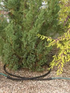 Landscape Snip-n-Drip Soaker System