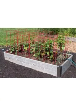 Pepper And Eggplant Cages, Set Of 3 13 Pepper And Eggplant Cages, Set Of 3 -Gardening Supplies 8587048 6008 3 4