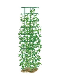 Bean Tower 13 Bean Tower -Gardening Supplies 8587060 0008 GRN tif