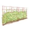 Expandable Pea Trellis -Gardening Supplies 8587061 PeaFence Red 001E tif