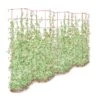 Tall Expandable Pea Trellis -Gardening Supplies 8587062 0001 RED tall expandable pea trelis tif