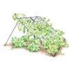 Large Cucumber Trellis -Gardening Supplies 8587082 CukeTrellis L Blk 001E tif