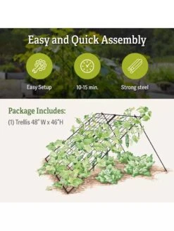 Large Cucumber Trellis 9 Large Cucumber Trellis -Gardening Supplies 8587082 product details