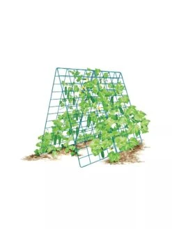 Deluxe Cucumber Trellis 17 Deluxe Cucumber Trellis -Gardening Supplies 8587083 001 BLUE Cukes two sided deluxe cucumber trellis support storm blue 3 4