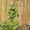 Wire A-Frame Trellis -Gardening Supplies 8587104 526 tif
