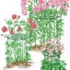 Grow Through Supports, Set Of 3 1 Grow Through Supports, Set Of 3 -Gardening Supplies 8587111RS 001E 1