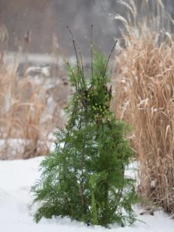 Jardin Pot Trellis 11 Jardin Pot Trellis -Gardening Supplies 8587120 009 tif