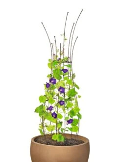 Jardin Pot Trellis 13 Jardin Pot Trellis -Gardening Supplies 8587120 1006 tif