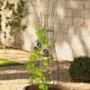 Jardin Pot Trellis -Gardening Supplies 8587120 224 tif