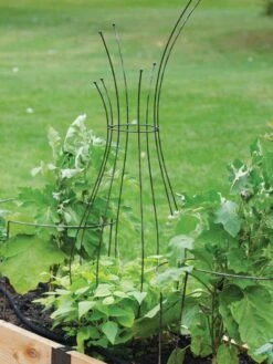 Jardin Pot Trellis 10 Jardin Pot Trellis -Gardening Supplies 8587120 7037 tif