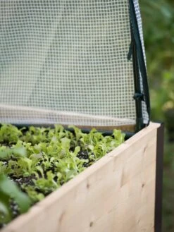 Protection Frame & Covers, 2' X 4' -Gardening Supplies 8587631 265 tif 1