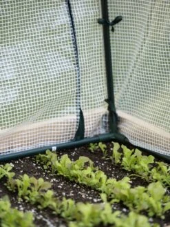 Protection Frame & Covers, 2' X 8' -Gardening Supplies 8587631 271 tif