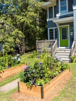 Zenith Folding Garden Supports, Set Of 2 16 Zenith Folding Garden Supports, Set Of 2 -Gardening Supplies 8587807 0801 tif