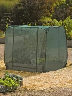 Pest Control Pop-Ups 13 Pest Control Pop-Ups -Gardening Supplies 8587859 026 tif