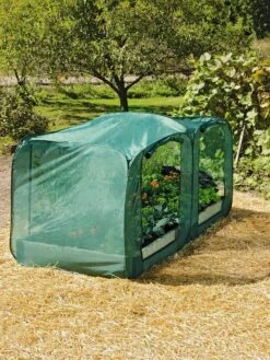 Pest Control Pop-Ups 12 Pest Control Pop-Ups -Gardening Supplies 8587860 096 tif