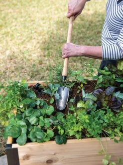 Gardener's Lifetime Raised Bed Trowel 7 Gardener's Lifetime Raised Bed Trowel -Gardening Supplies 8588014 4084 tif