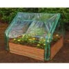 Extendable Cold Frame Greenhouse 1 Extendable Cold Frame Greenhouse -Gardening Supplies 8588247 03V extendable cold frame greenhouse