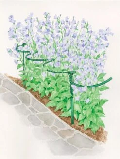 Tidy Path Supports -Gardening Supplies 8588403 003 1