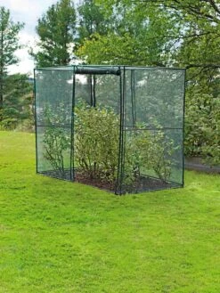 Crop Cage, 4' X 8' -Gardening Supplies 8589160 002 tif