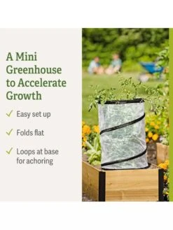 Pop-Up Tomato Accelerator -Gardening Supplies 8589749 feature 2
