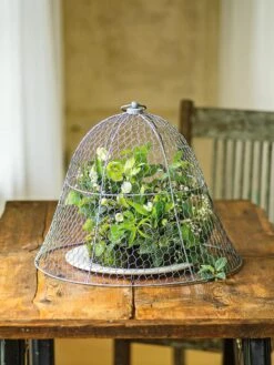 Chicken Wire Cloche 19 Chicken Wire Cloche -Gardening Supplies 8590210 1 tif