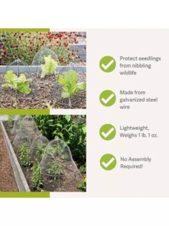 Gardening Supplies -Gardening Supplies 8590210 4