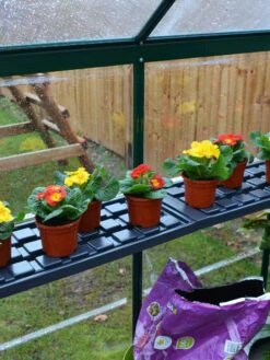 Canopia® By Palram Shelf Kit For Greenhouses, Set Of 2 Shelves 14 Canopia® By Palram Shelf Kit For Greenhouses, Set Of 2 Shelves -Gardening Supplies 8591033 09V jpg