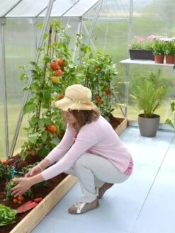 Canopia® By Palram Essence™ Greenhouse, 8' X 12' 18 Canopia® By Palram Essence™ Greenhouse, 8' X 12' -Gardening Supplies 8591356 04V tif