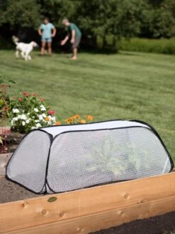 Row Shelter Accelerator 10 Row Shelter Accelerator -Gardening Supplies 8591990 2182 tif