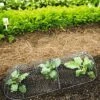 3-in-1 Chicken Wire Cloche -Gardening Supplies 8592117 5598 1 chicken wire cloche 3 in 1 tif