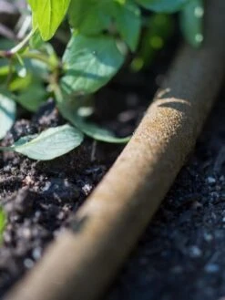 Premium 1/2" Soaker Hose 13 Premium 1/2" Soaker Hose -Gardening Supplies 8592730 4933 tif