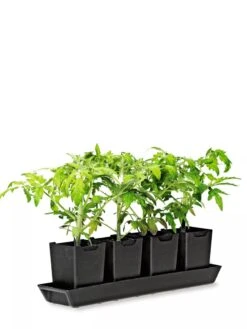 Pop-Out Pots, Set Of 4 10 Pop-Out Pots, Set Of 4 -Gardening Supplies 8593943 1260 tif