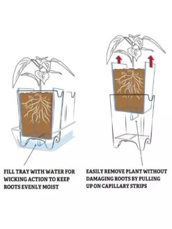 Pop-Out Pots, Set Of 4 13 Pop-Out Pots, Set Of 4 -Gardening Supplies 8593943 2