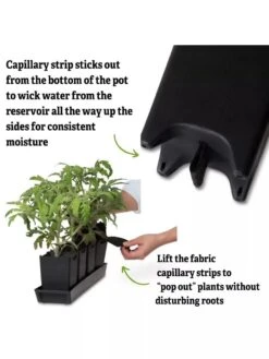 Pop-Out Pots, Set Of 4 12 Pop-Out Pots, Set Of 4 -Gardening Supplies 8593943 3